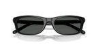 Diesel DL2018U 2001/87 Sunglasses