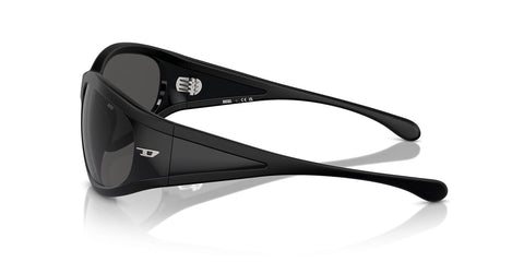 Diesel DL3002 501S/87 Sunglasses