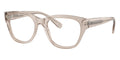 Diesel DL4001 2007 Glasses