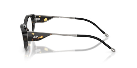 Diesel DL4004 2017 Glasses
