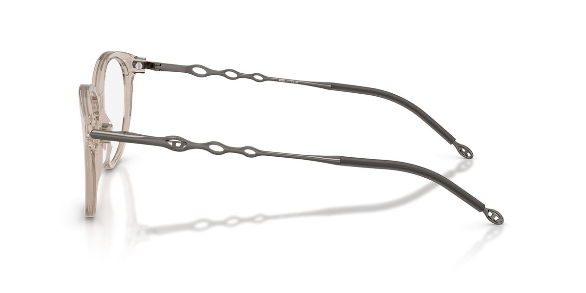Diesel DL4007 2007 Glasses