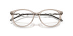 Diesel DL4007 2007 Glasses