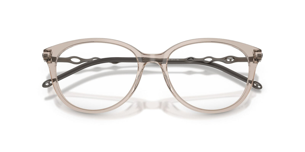Diesel DL4007 2007 Glasses