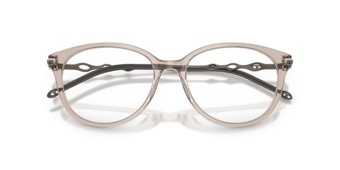 Diesel DL4007 2007 Glasses