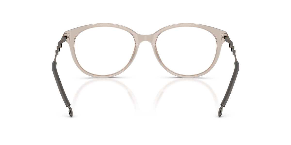 Diesel DL4007 2007 Glasses