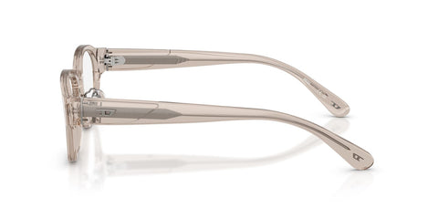 Diesel DL4011D 2007 Glasses
