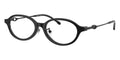 Diesel DL4030D 2001 Glasses