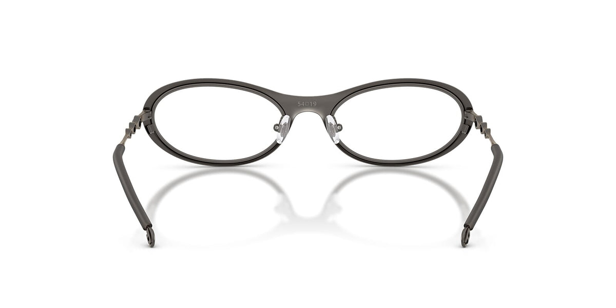 Diesel DL5001 1009 Glasses