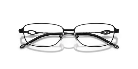 Diesel DL5002 1008 Glasses