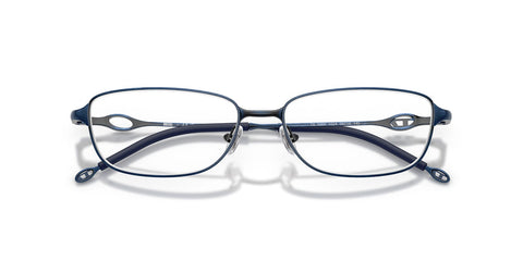 Diesel DL5002 1024 Glasses