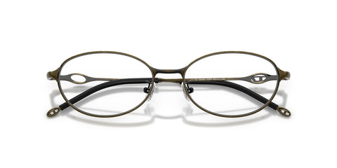 Diesel DL5004D 1029 Glasses