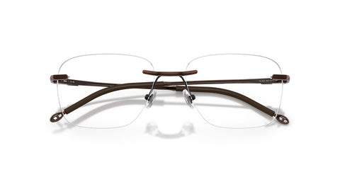 Diesel DL5005 1025 Glasses