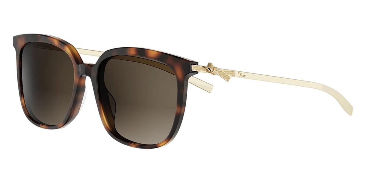 Dior Bow S1I 20F1 Sunglasses