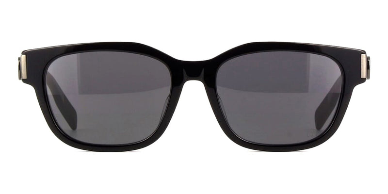 Dior CD Icon S1F 14A0 Sunglasses