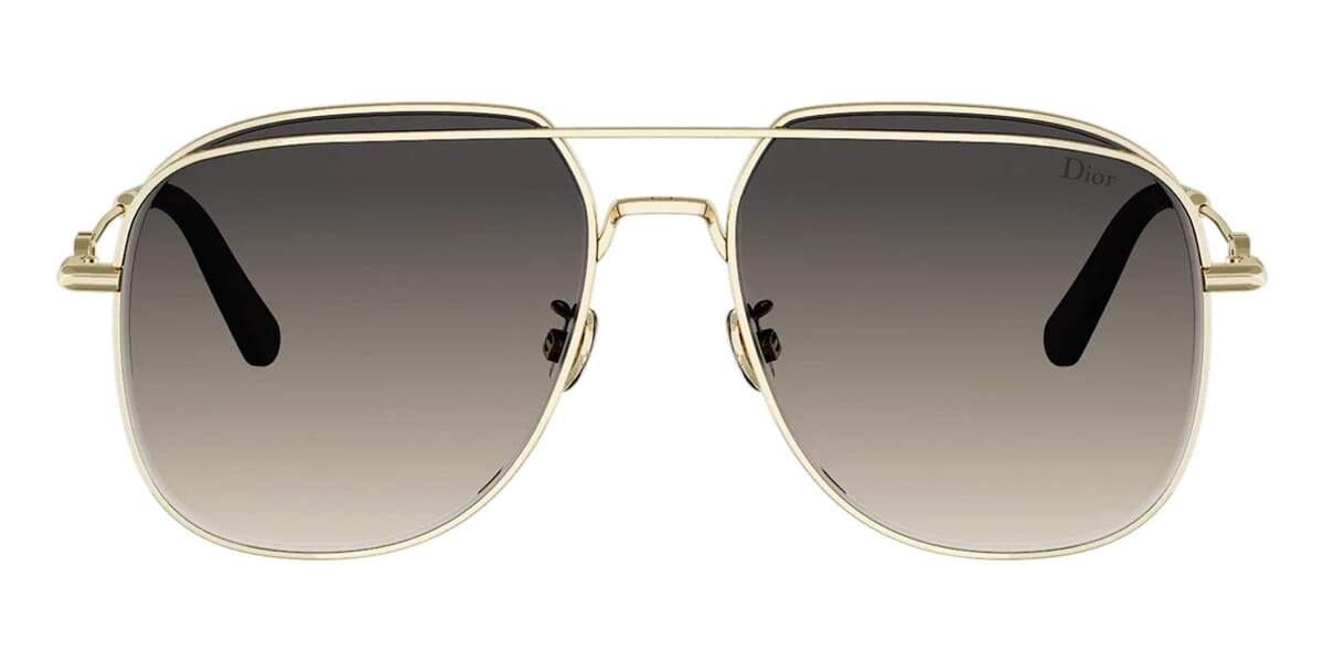 Dior Petit CD A1U B0A1 Sunglasses
