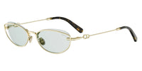 Dior Petit CD B1U B0B0