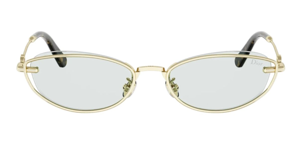 Dior Petit CD B1U B0B0 Sunglasses