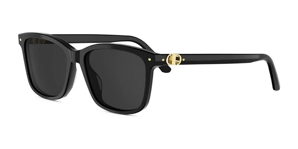 Dior Petit CD S2I 10A0 Sunglasses