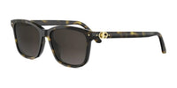 Dior Petit CD S2I 20F1