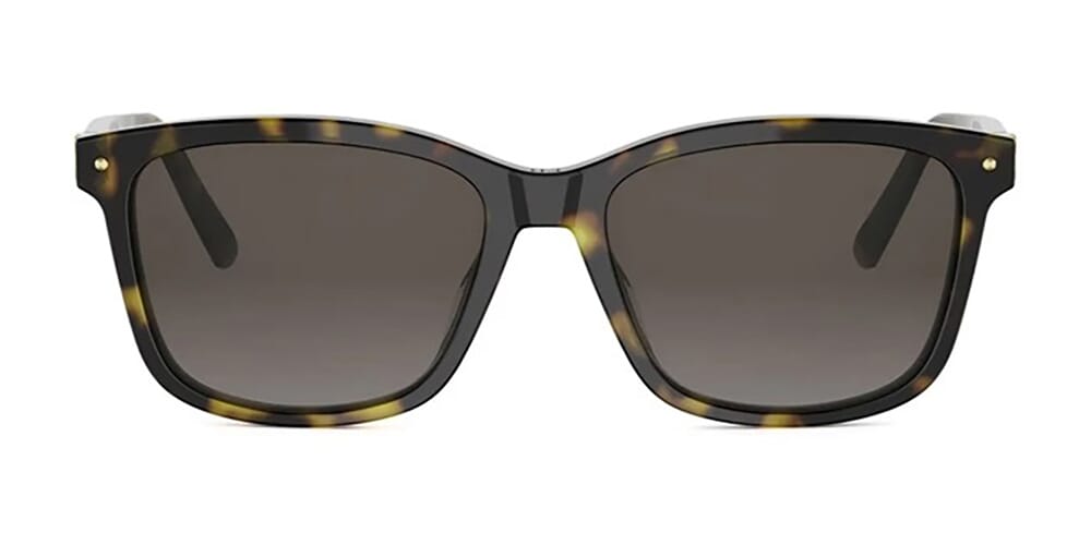 Dior Petit CD S2I 20F1 Sunglasses