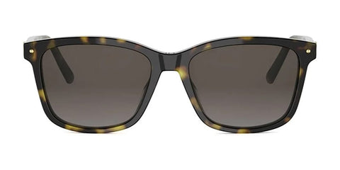 Dior Petit CD S2I 20F1 Sunglasses