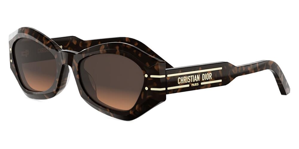 DiorSignature B1U 24F1 Sunglasses