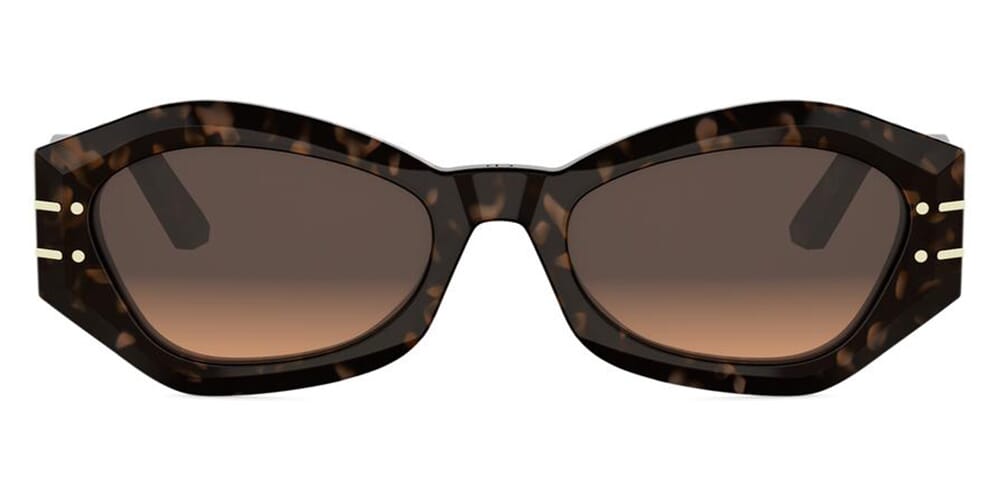 DiorSignature B1U 24F1 Sunglasses