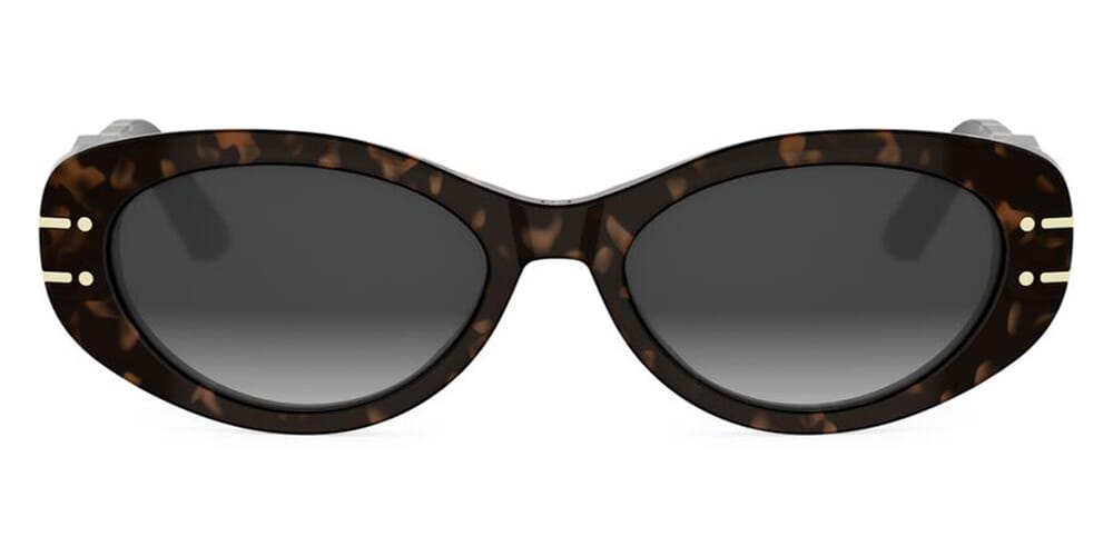 DiorSignature B8U 24A1 Sunglasses