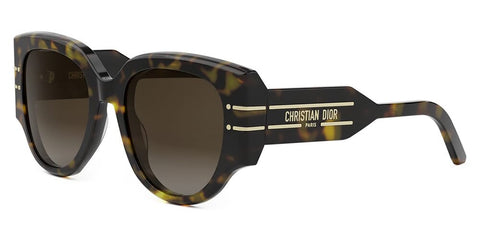 DiorSignature R2I 20F1 Sunglasses