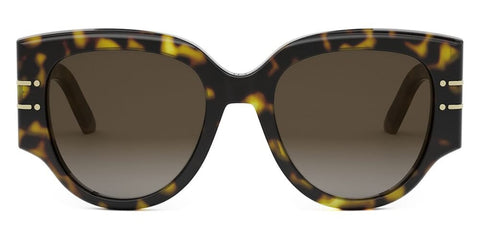 DiorSignature R2I 20F1 Sunglasses