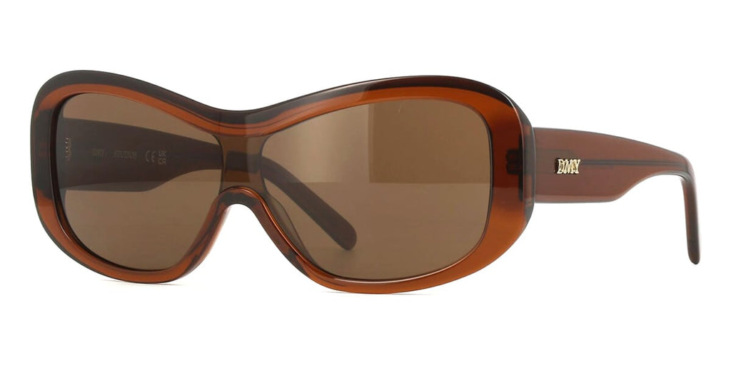 Dmy Studios Nina DMYSUN17TRU Transparent Rust Sunglasses