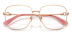 Dolce&Gabbana DG1356 1298 Glasses