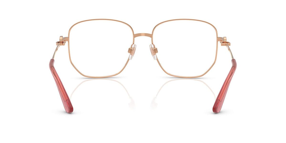 Dolce&Gabbana DG1356 1298 Glasses
