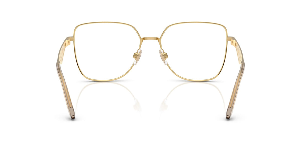 Dolce&Gabbana DG1358 1366 Glasses