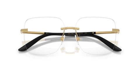 Dolce&Gabbana DG1360 02 Glasses