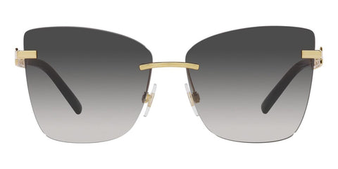 Dolce&Gabbana DG2289 02/8G Sunglasses