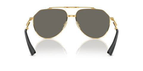 Dolce&Gabbana DG2302 02/R5 Sunglasses