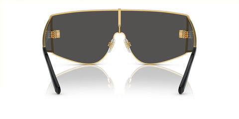 Dolce&Gabbana DG2305 02/87 Sunglasses