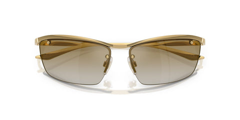 Dolce&Gabbana DG2307 02/6E Sunglasses