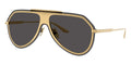Dolce&Gabbana DG2309 02/87 Sunglasses