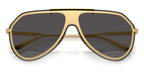 Dolce&Gabbana DG2309 02/87 Sunglasses