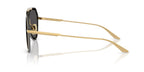 Dolce&Gabbana DG2309 02/87 Sunglasses