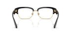 Dolce&Gabbana DG3456 501 Glasses