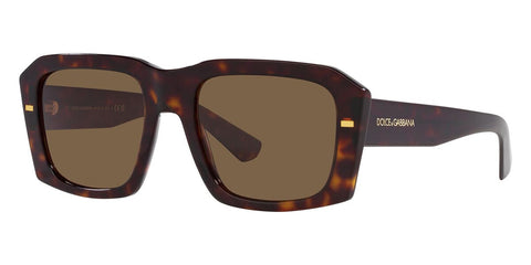 Dolce&Gabbana DG4430 502/73 Sunglasses