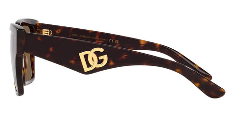 Dolce&Gabbana DG4436 502/73 Sunglasses