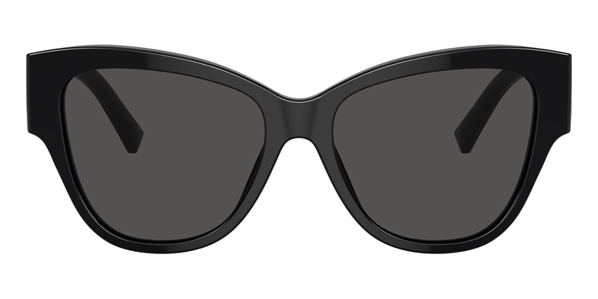Dolce&Gabbana DG4449 501/87 Sunglasses