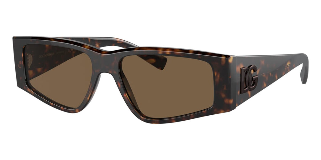 Dolce&Gabbana DG4453 502/73 Sunglasses