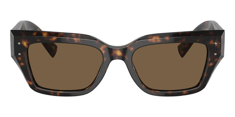 Dolce&Gabbana DG4462 502/73 Sunglasses