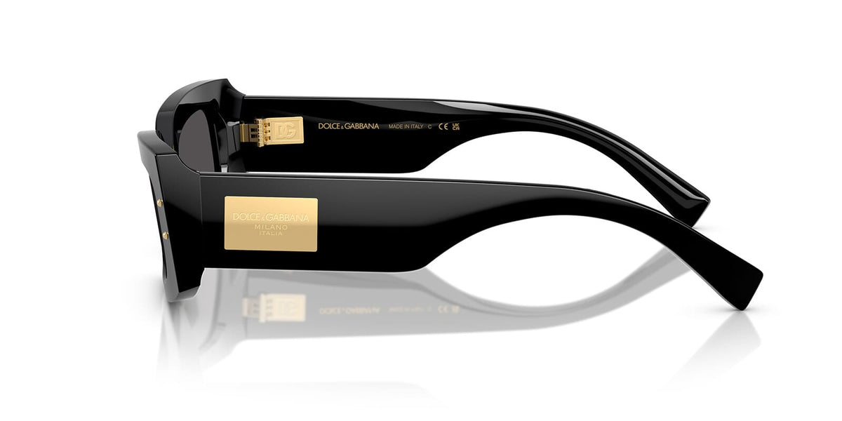 Dolce&Gabbana DG4479 501/87 Sunglasses