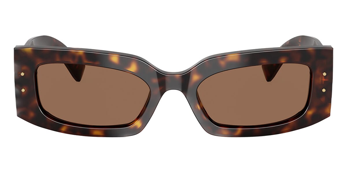 Dolce&Gabbana DG4479 502/73 Sunglasses